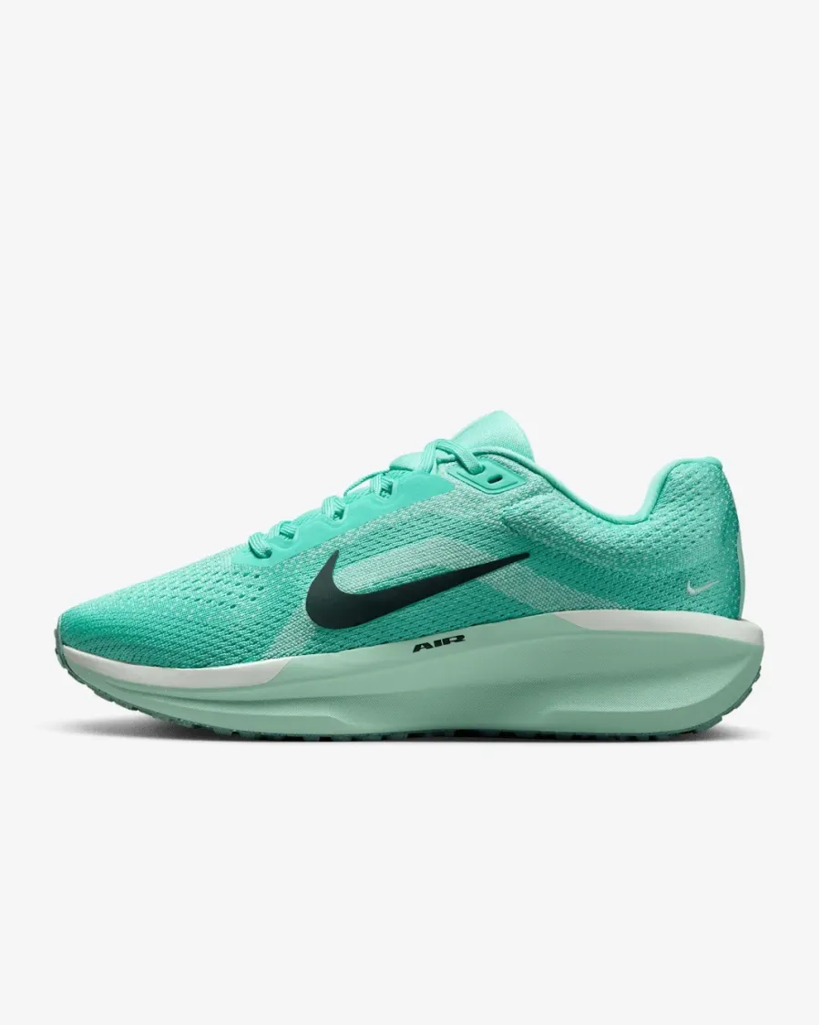 Кросівки Nike Winflo 11 FJ9510-305