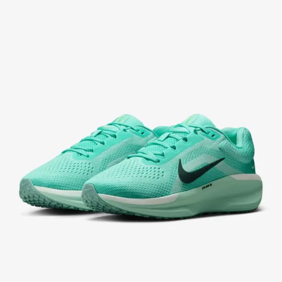 Кросівки Nike Winflo 11 FJ9510-305