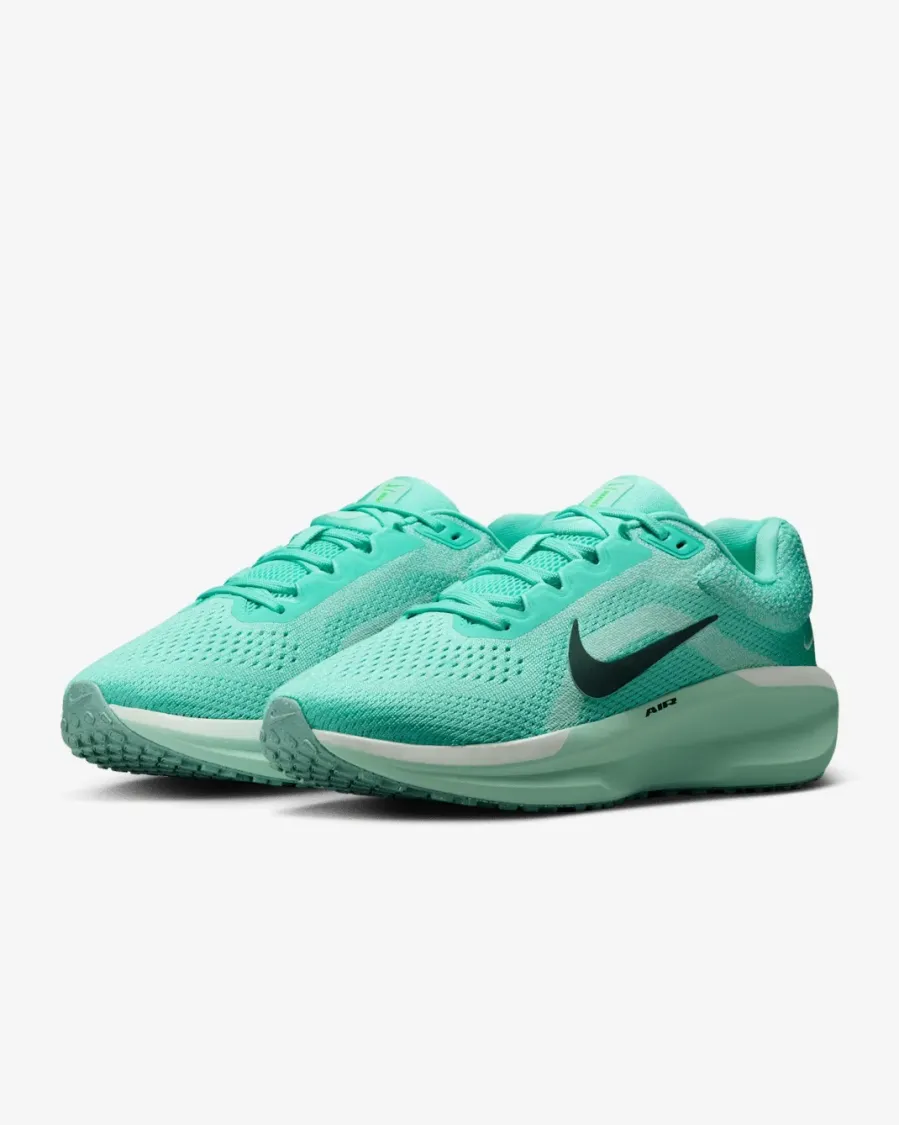 Кросівки Nike Winflo 11 FJ9510-305