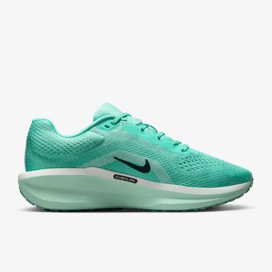 Кросівки Nike Winflo 11 FJ9510-305