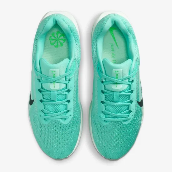 Кросівки Nike Winflo 11 FJ9510-305