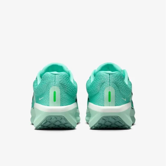 Кросівки Nike Winflo 11 FJ9510-305