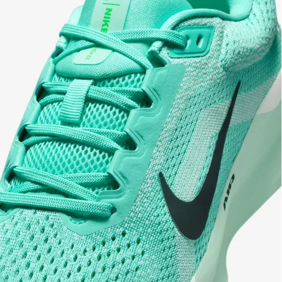 Кросівки Nike Winflo 11 FJ9510-305