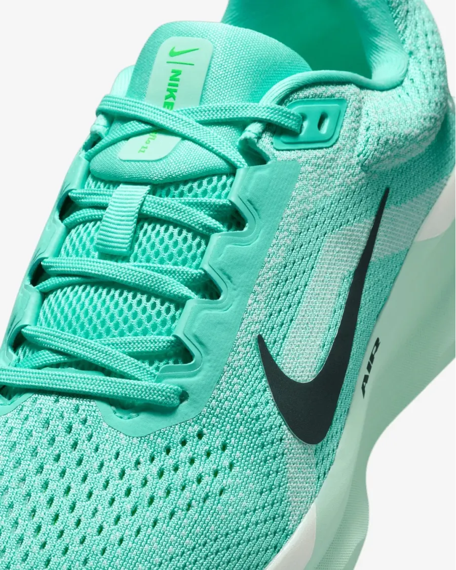 Кросівки Nike Winflo 11 FJ9510-305
