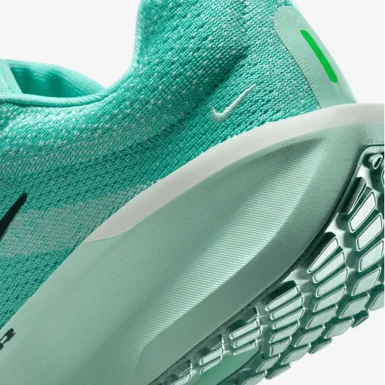 Кросівки Nike Winflo 11 FJ9510-305
