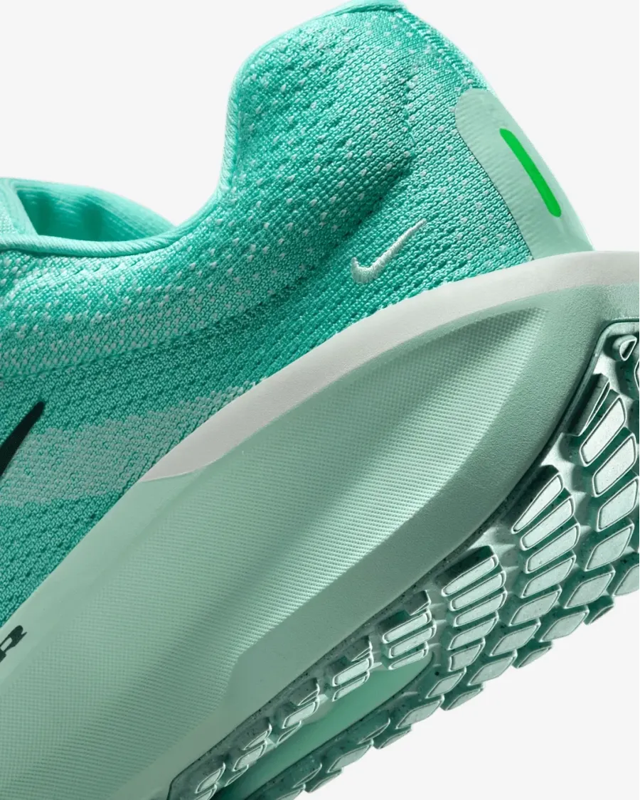 Кросівки Nike Winflo 11 FJ9510-305
