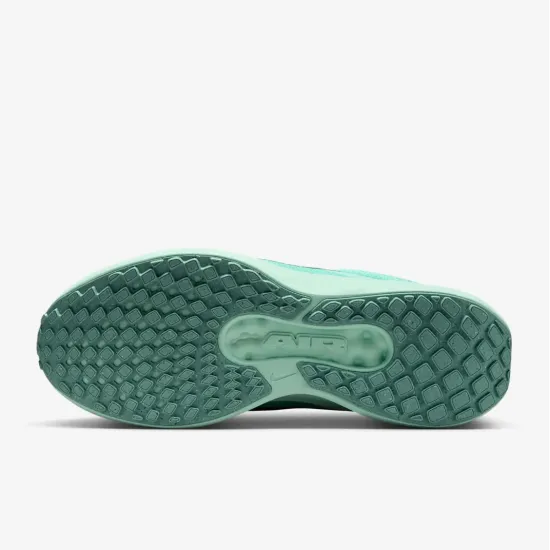 Кросівки Nike Winflo 11 FJ9510-305