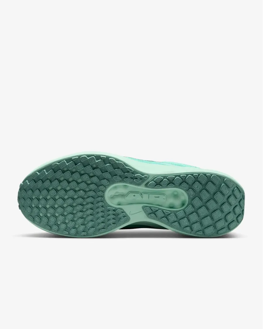 Кросівки Nike Winflo 11 FJ9510-305