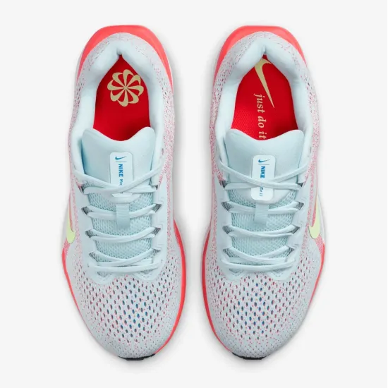 Кросівки Nike Winflo 11 FJ9510-402