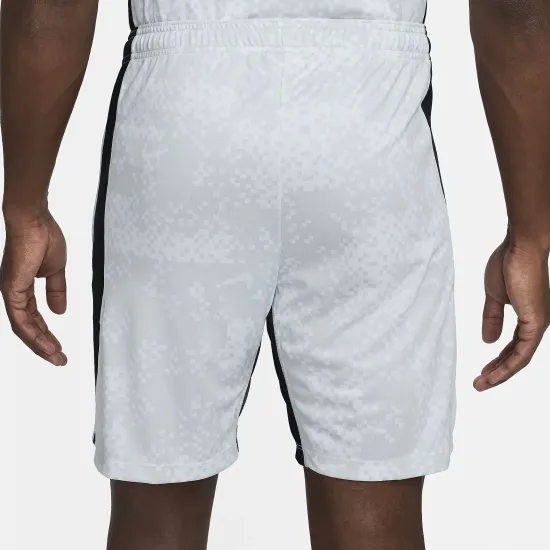 Шорти Nike Dri-FIT Academy Pro FN2413-043