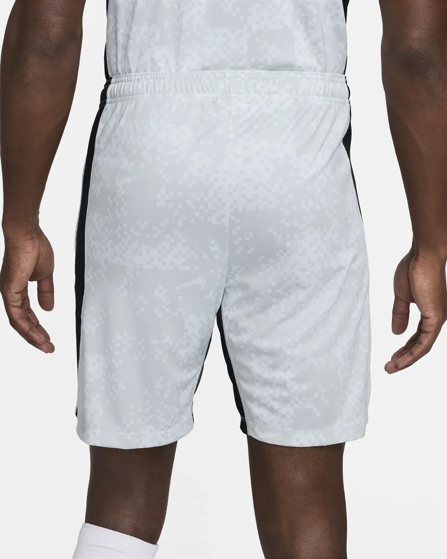 Шорти Nike Dri-FIT Academy Pro FN2413-043