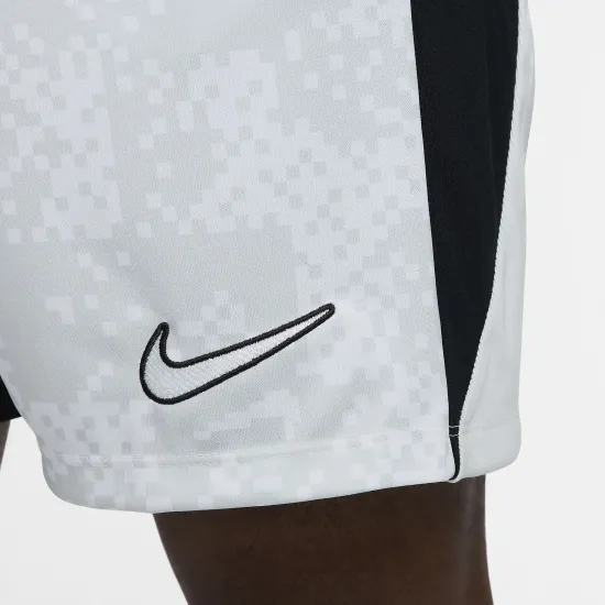 Шорти Nike Dri-FIT Academy Pro FN2413-043