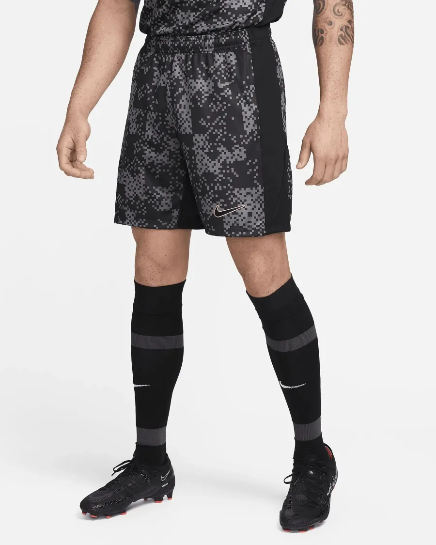Шорти Nike Dri-FIT Academy Pro FN2413-069