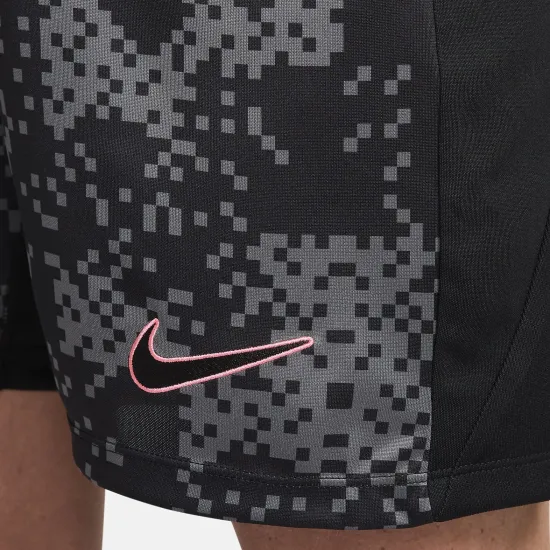 Шорти Nike Dri-FIT Academy Pro FN2413-069