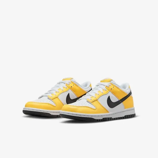 Кросівки Nike Dunk Low Next Nature FN3807-800