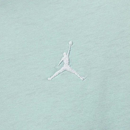 Футболка Nike Air Jordan Brooklyn Essentials FN4500-357