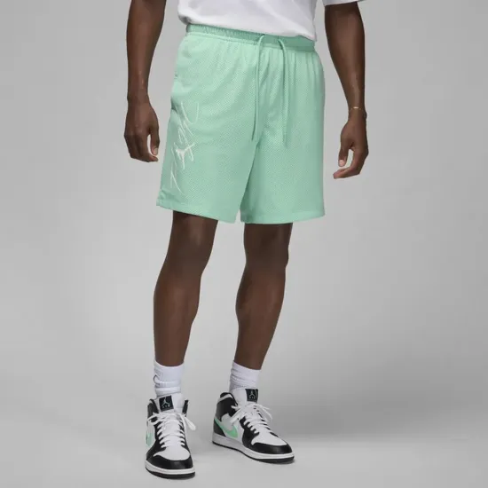 Шорти Jordan Essentials Seasonal FN4647-349