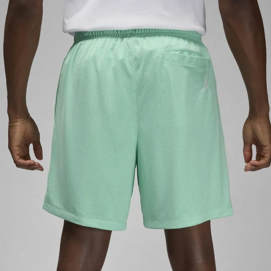 Шорти Jordan Essentials Seasonal FN4647-349