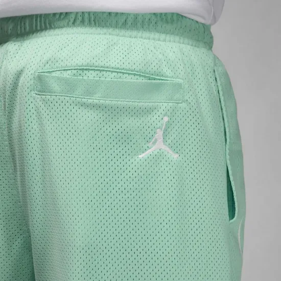 Шорти Jordan Essentials Seasonal FN4647-349