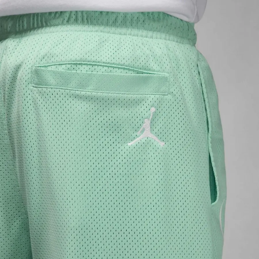 Шорти Jordan Essentials Seasonal FN4647-349
