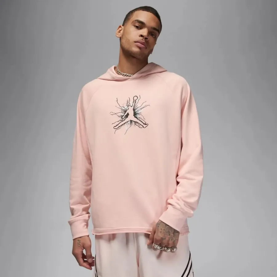 Кофта Nike Air Jordan Dri-FIT Sport Graphic Fleece Pullover FN5812-622