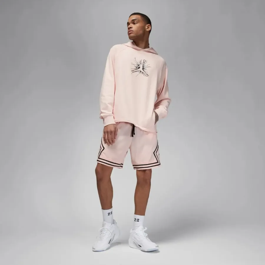 Кофта Nike Air Jordan Dri-FIT Sport Graphic Fleece Pullover FN5812-622