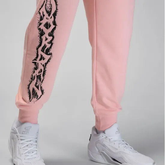 Костюм Nike Air Jordan Dri-FIT Sport Graphic Fleece Pullover FN5812-622_FN5814-622