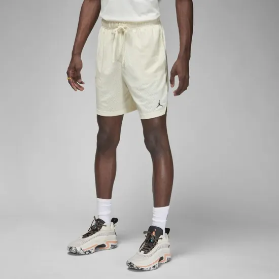 Шорти Jordan Dri-FIT Sport Mesh FN5816-113