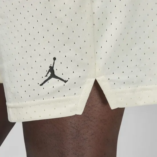 Шорти Jordan Dri-FIT Sport Mesh FN5816-113