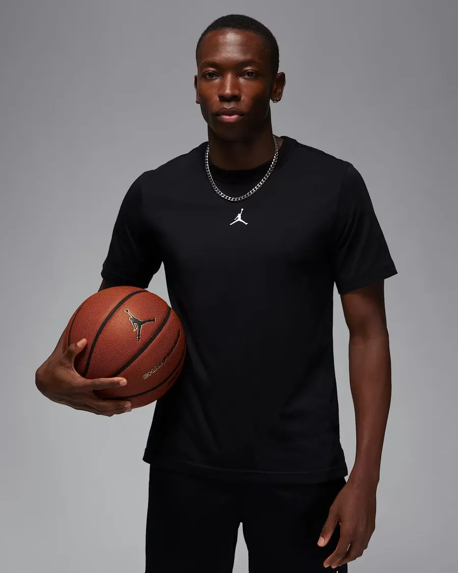Футболка Nike Air Jordan Sport Dri-FIT FN5829-010
