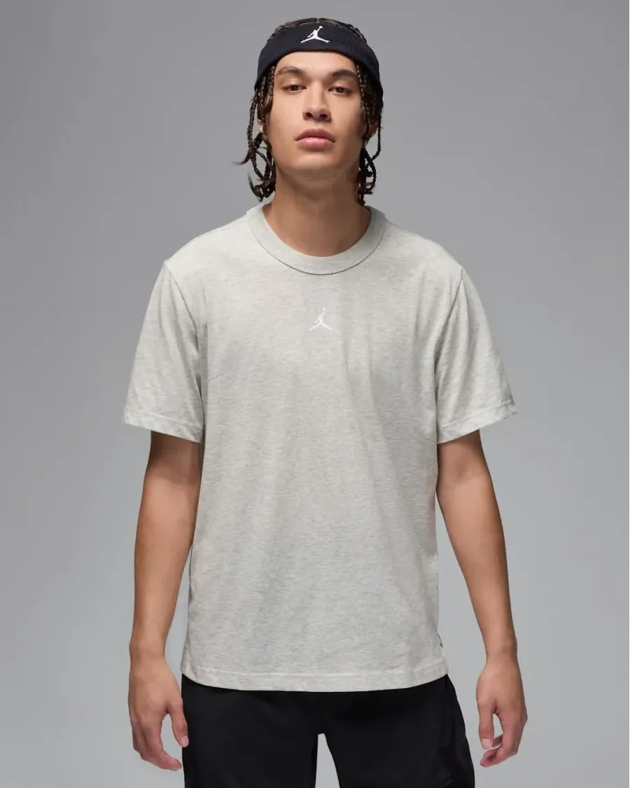 Футболка Nike Air Jordan Sport Dri-FIT FN5829-050