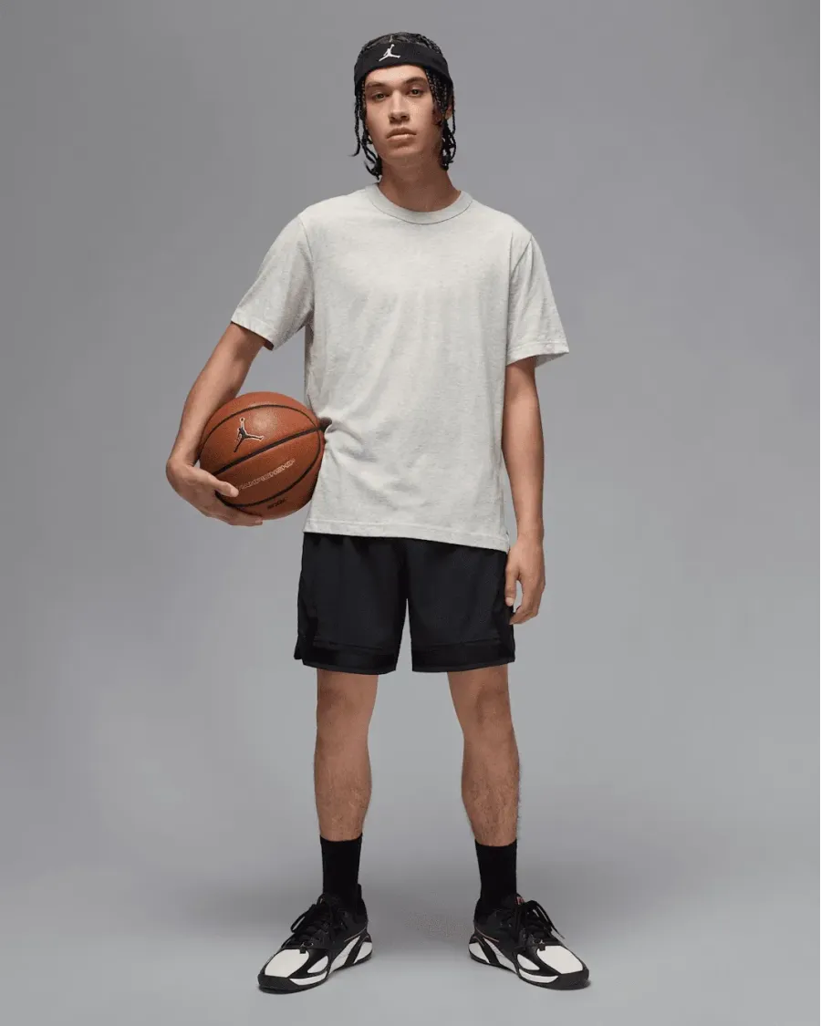 Футболка Nike Air Jordan Sport Dri-FIT FN5829-050