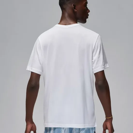 Футболка Nike Air Jordan Sport Dri-FIT FN5829-100