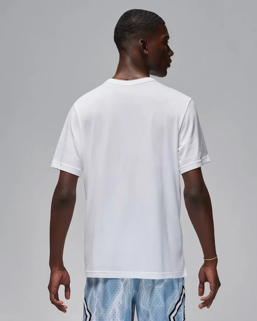 Футболка Nike Air Jordan Sport Dri-FIT FN5829-100