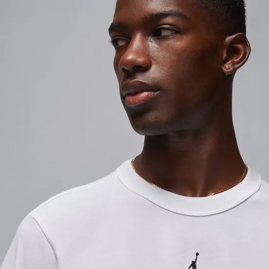 Футболка Nike Air Jordan Sport Dri-FIT FN5829-100