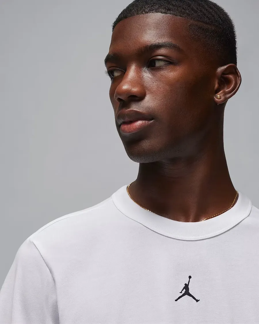 Футболка Nike Air Jordan Sport Dri-FIT FN5829-100