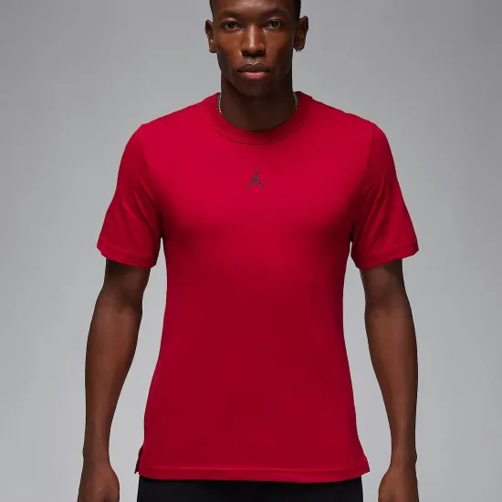 Футболка Nike Air Jordan Sport Dri-FIT FN5829-687