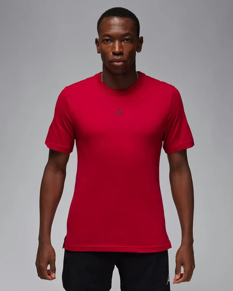 Футболка Nike Air Jordan Sport Dri-FIT FN5829-687