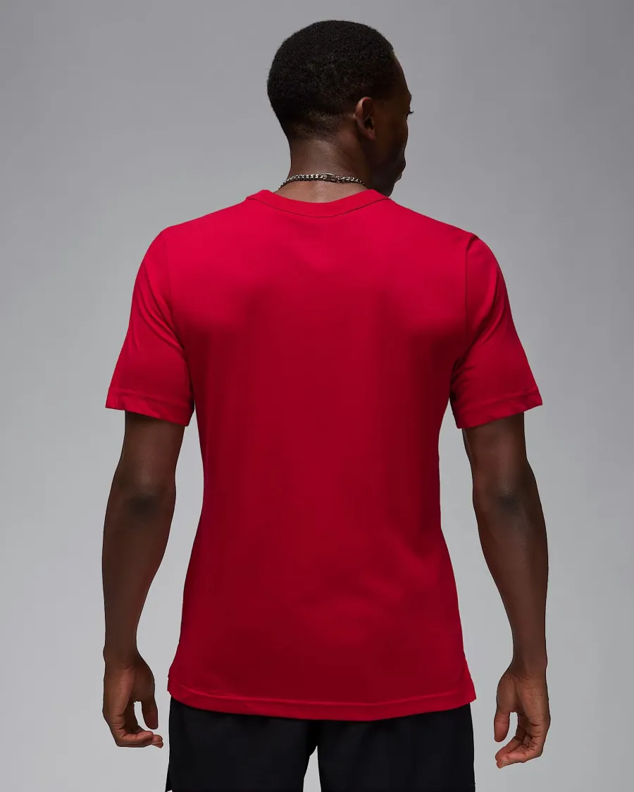 Футболка Nike Air Jordan Sport Dri-FIT FN5829-687