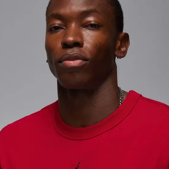 Футболка Nike Air Jordan Sport Dri-FIT FN5829-687