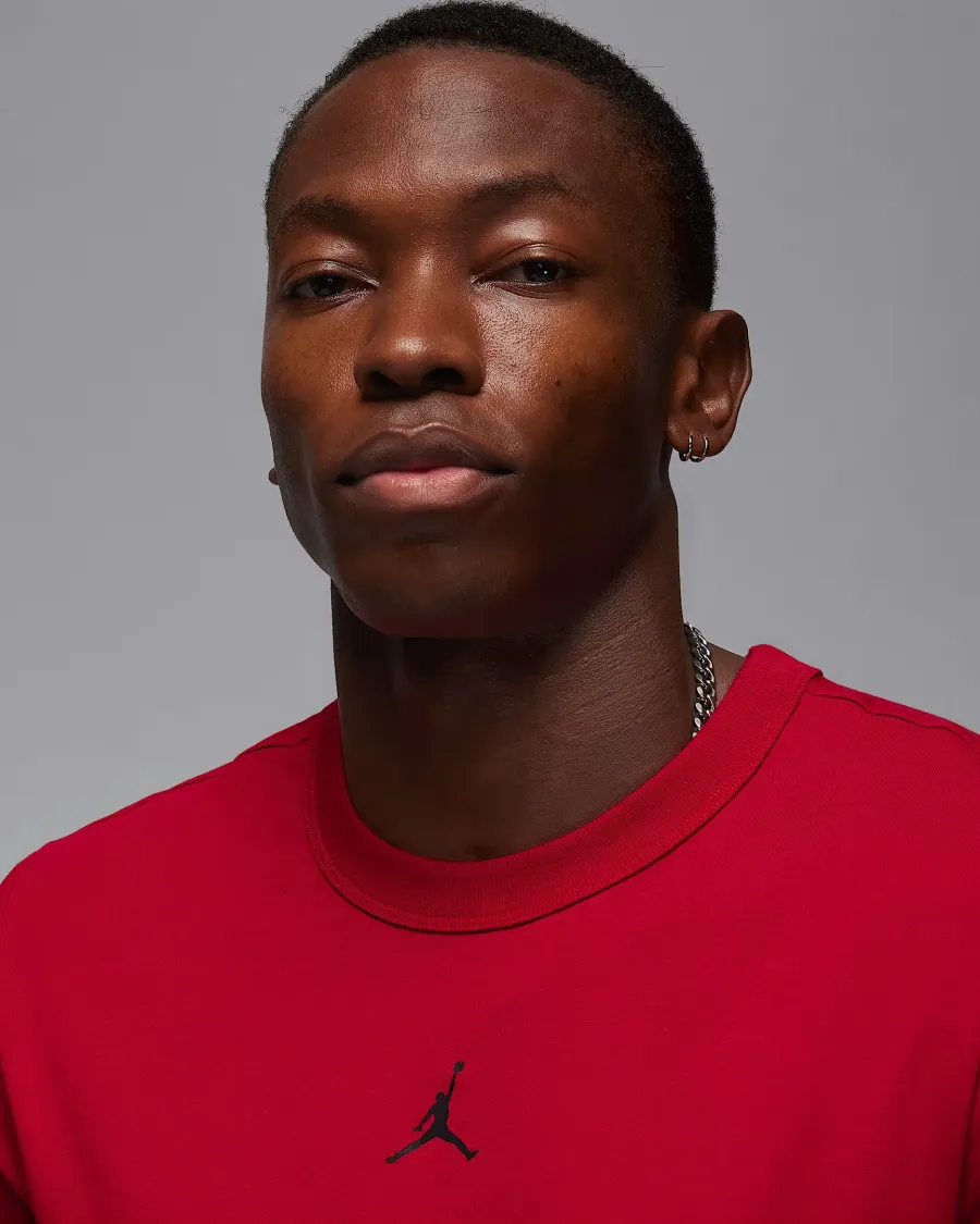 Футболка Nike Air Jordan Sport Dri-FIT FN5829-687