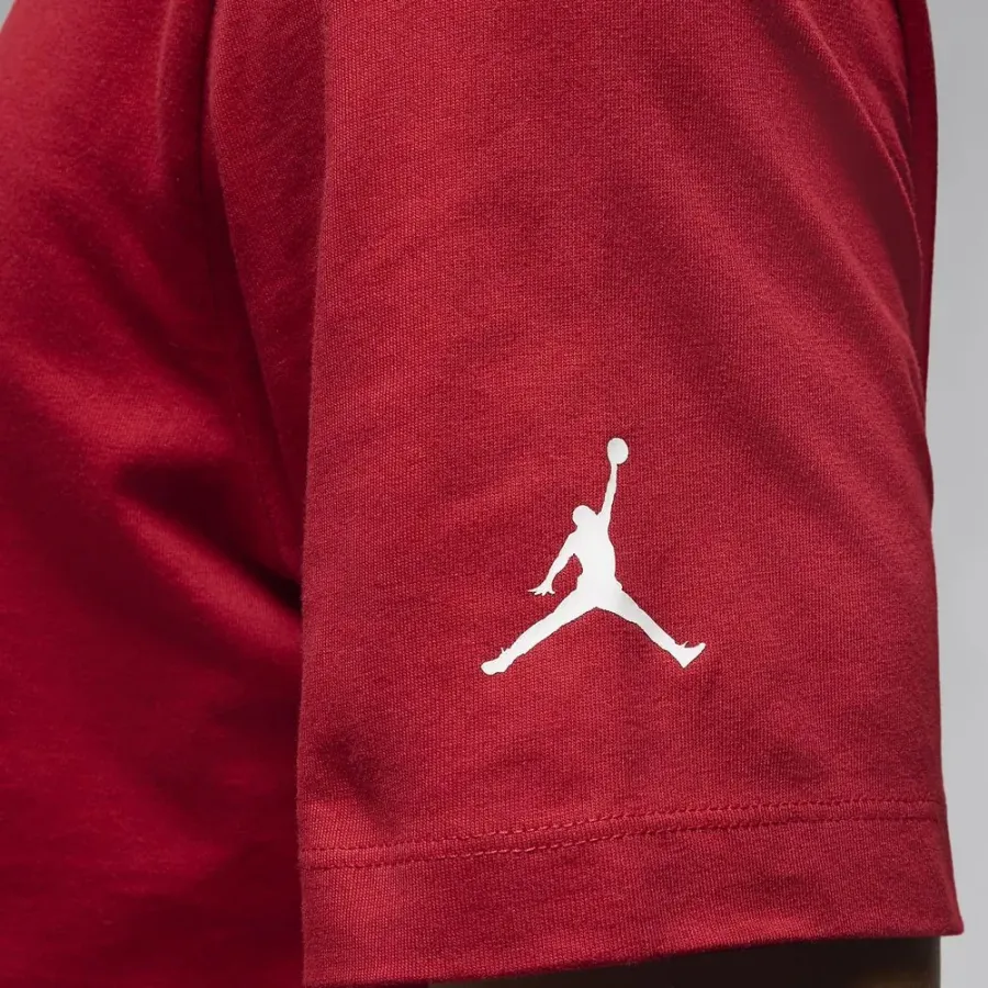Футболка Nike Air Jordan Flight MVP FN5958-687