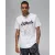 Футболка Nike Air Jordan Sport Dri-FIT FN5974-100
