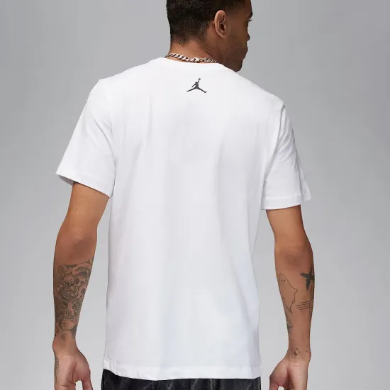 Футболка Nike Air Jordan Sport Dri-FIT FN5974-100