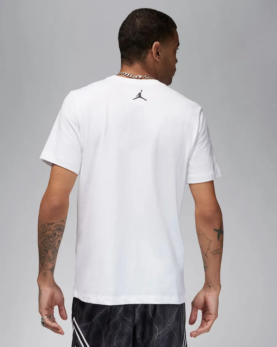 Футболка Nike Air Jordan Sport Dri-FIT FN5974-100