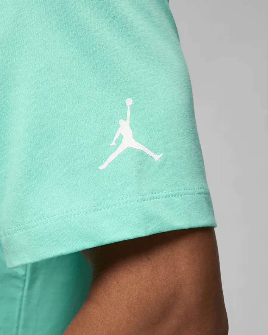 Футболка Nike Air Jordan Flight MVP FN5990-349