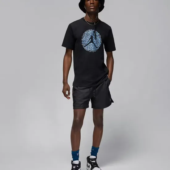 Футболка Nike Air Jordan Flight Essentials FN6006-010