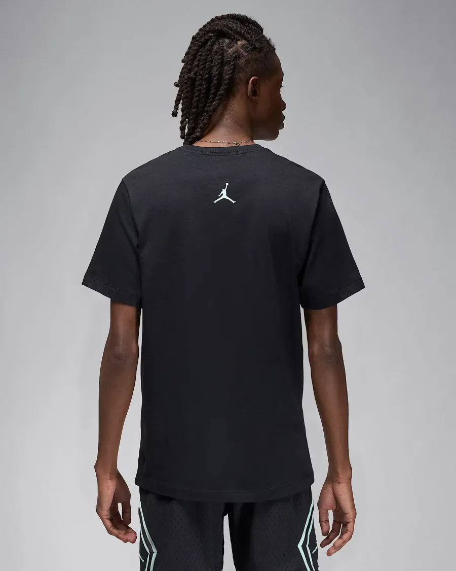 Футболка Nike Air Jordan Sport Dri-FIT Graphic FN6016-010