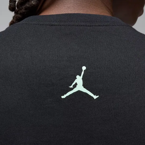 Футболка Nike Air Jordan Sport Dri-FIT Graphic FN6016-010