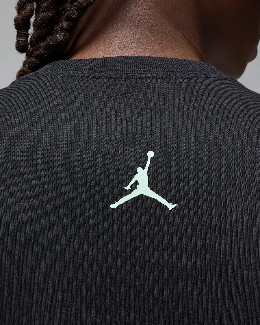 Футболка Nike Air Jordan Sport Dri-FIT Graphic FN6016-010